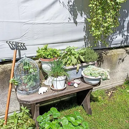 Olmo Garden By Interhome Апартаменты Морбеньо